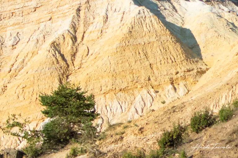 Colorado Provencal-10