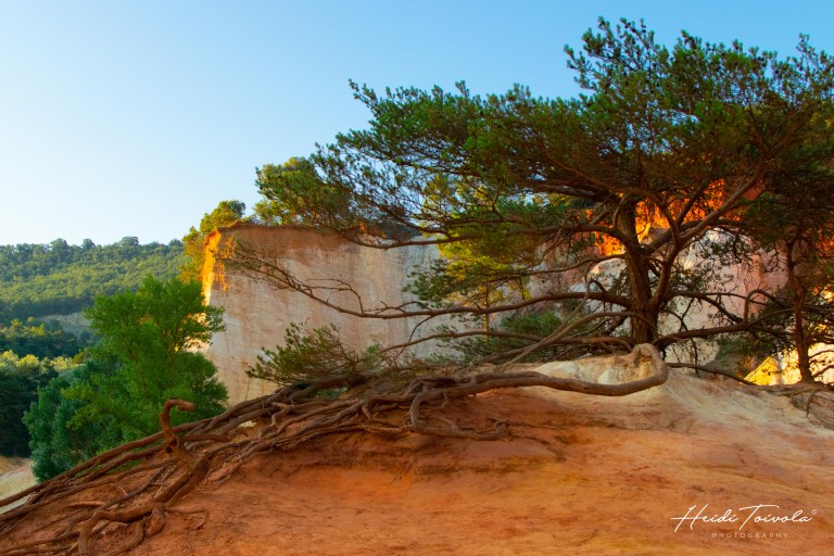 Colorado Provencal-13