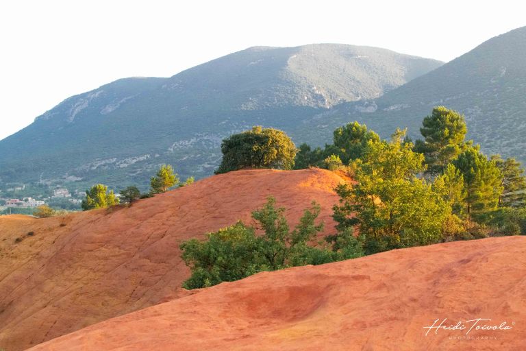 Colorado Provencal-2