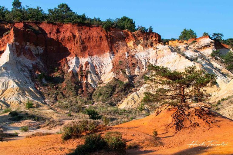 Colorado Provencal-9