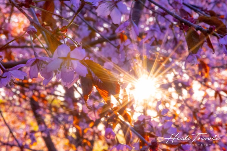 HT190508_HT190508_DSC_0140