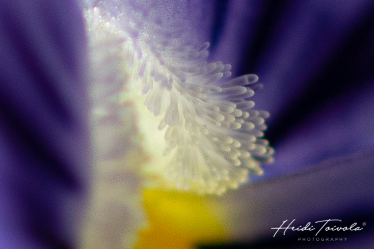 HT190518_HT190518_DSC_0230-2