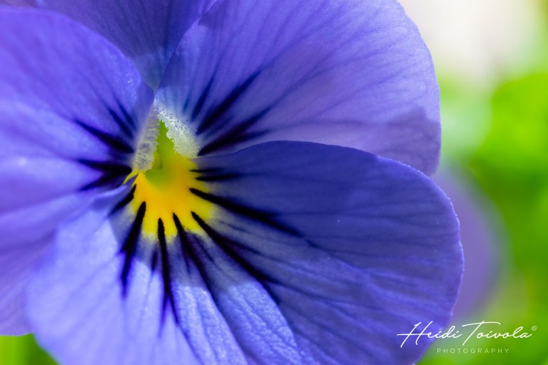 HT190518_HT190518_DSC_0251