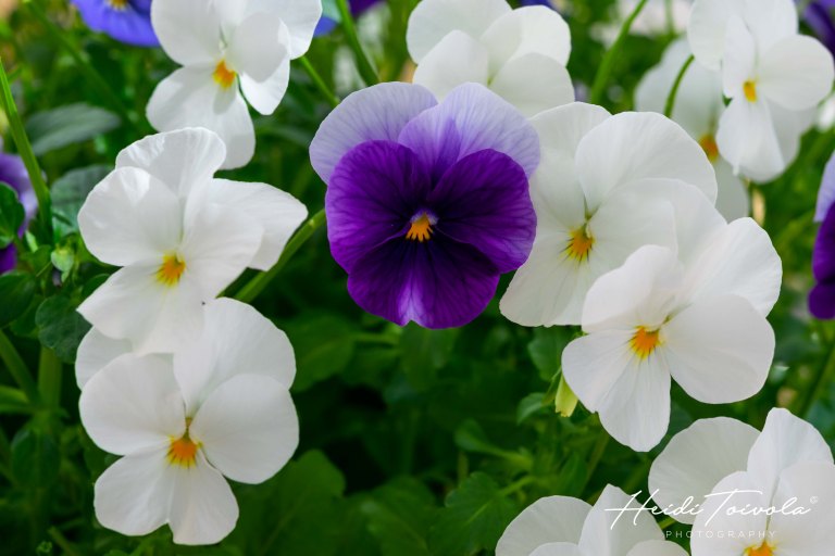 HT190518_HT190518_DSC_0286